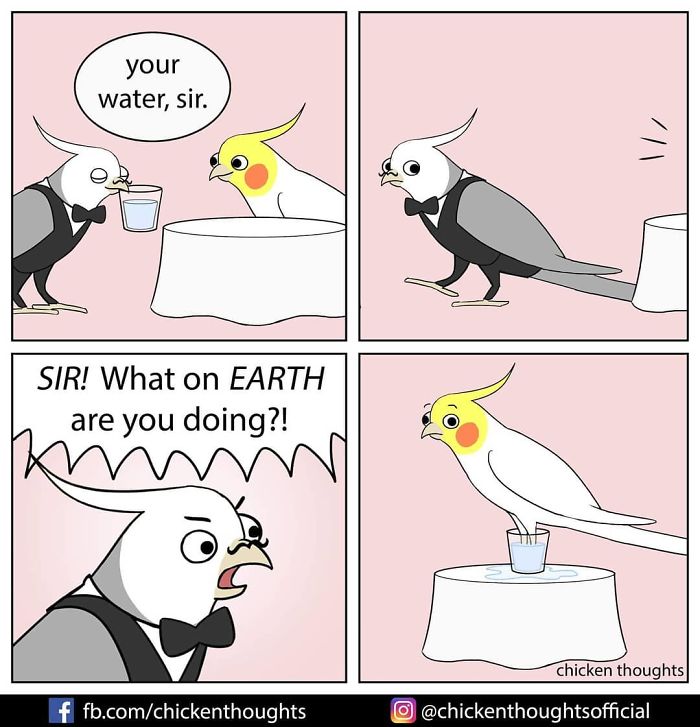 30 Funny Comics About Parrots, Illustrated By A Bird Owner 30 Funny Comics About Parrots, Illustrated By A Bird Owner