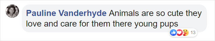 Mum Gorilla Who Lost Her Firstborn 1 Year Ago Gets Captured Cradling Her Month-Old Baby Mum Gorilla Who Lost Her Firstborn 1 Year Ago Gets Captured Cradling Her Month-Old Baby