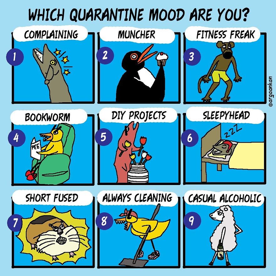 My 58 Comics About An Angry Duck And Other Animals That Represent People You May Know My 58 Comics About An Angry Duck And Other Animals That Represent People You May Know