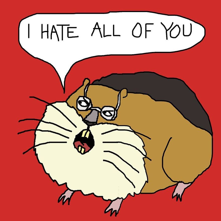 My 58 Comics About An Angry Duck And Other Animals That Represent People You May Know My 58 Comics About An Angry Duck And Other Animals That Represent People You May Know