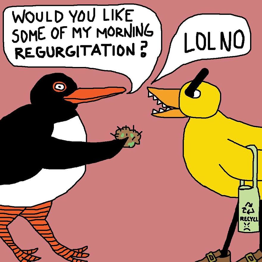 My 58 Comics About An Angry Duck And Other Animals That Represent People You May Know My 58 Comics About An Angry Duck And Other Animals That Represent People You May Know