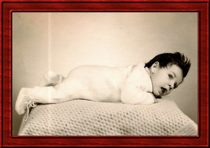 Pandas, What Did You Look Like As A Baby? Pandas, What Did You Look Like As A Baby?