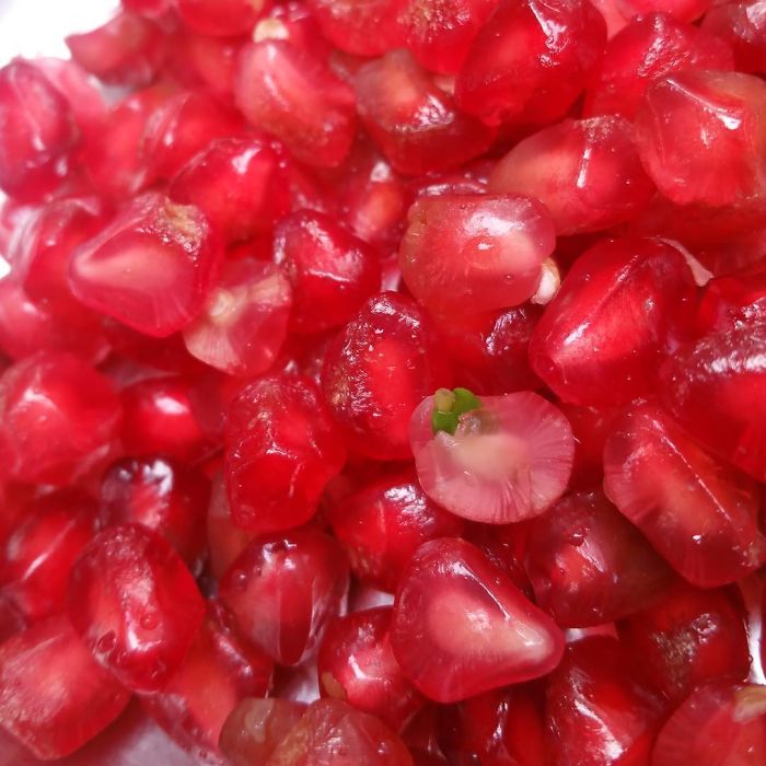 30 Times People Encountered ‘Vivipary’ In Plants And Just Had To Share These Terrifying Pics 30 Times People Encountered ‘Vivipary’ In Plants And Just Had To Share These Terrifying Pics