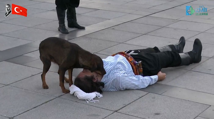 Stray Dog Interrupts Performance To Help Actor Who’s Pretending To Be Injured Stray Dog Interrupts Performance To Help Actor Who’s Pretending To Be Injured