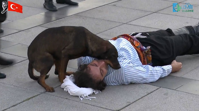 Stray Dog Interrupts Performance To Help Actor Who’s Pretending To Be Injured