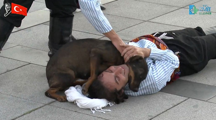 Stray Dog Interrupts Performance To Help Actor Who’s Pretending To Be Injured Stray Dog Interrupts Performance To Help Actor Who’s Pretending To Be Injured