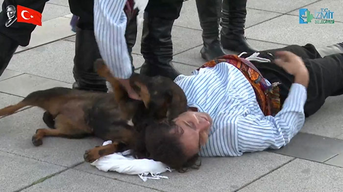 Stray Dog Interrupts Performance To Help Actor Who’s Pretending To Be Injured Stray Dog Interrupts Performance To Help Actor Who’s Pretending To Be Injured
