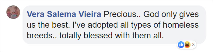 Stray Dog Interrupts Performance To Help Actor Who’s Pretending To Be Injured Stray Dog Interrupts Performance To Help Actor Who’s Pretending To Be Injured