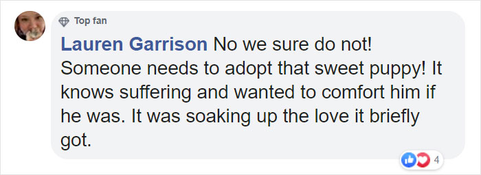 Stray Dog Interrupts Performance To Help Actor Who’s Pretending To Be Injured