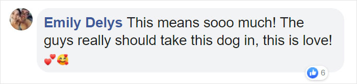 Stray Dog Interrupts Performance To Help Actor Who’s Pretending To Be Injured
