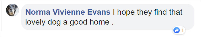 Stray Dog Interrupts Performance To Help Actor Who’s Pretending To Be Injured