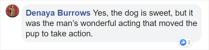 Stray Dog Interrupts Performance To Help Actor Who’s Pretending To Be Injured