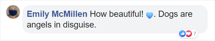 Stray Dog Interrupts Performance To Help Actor Who’s Pretending To Be Injured