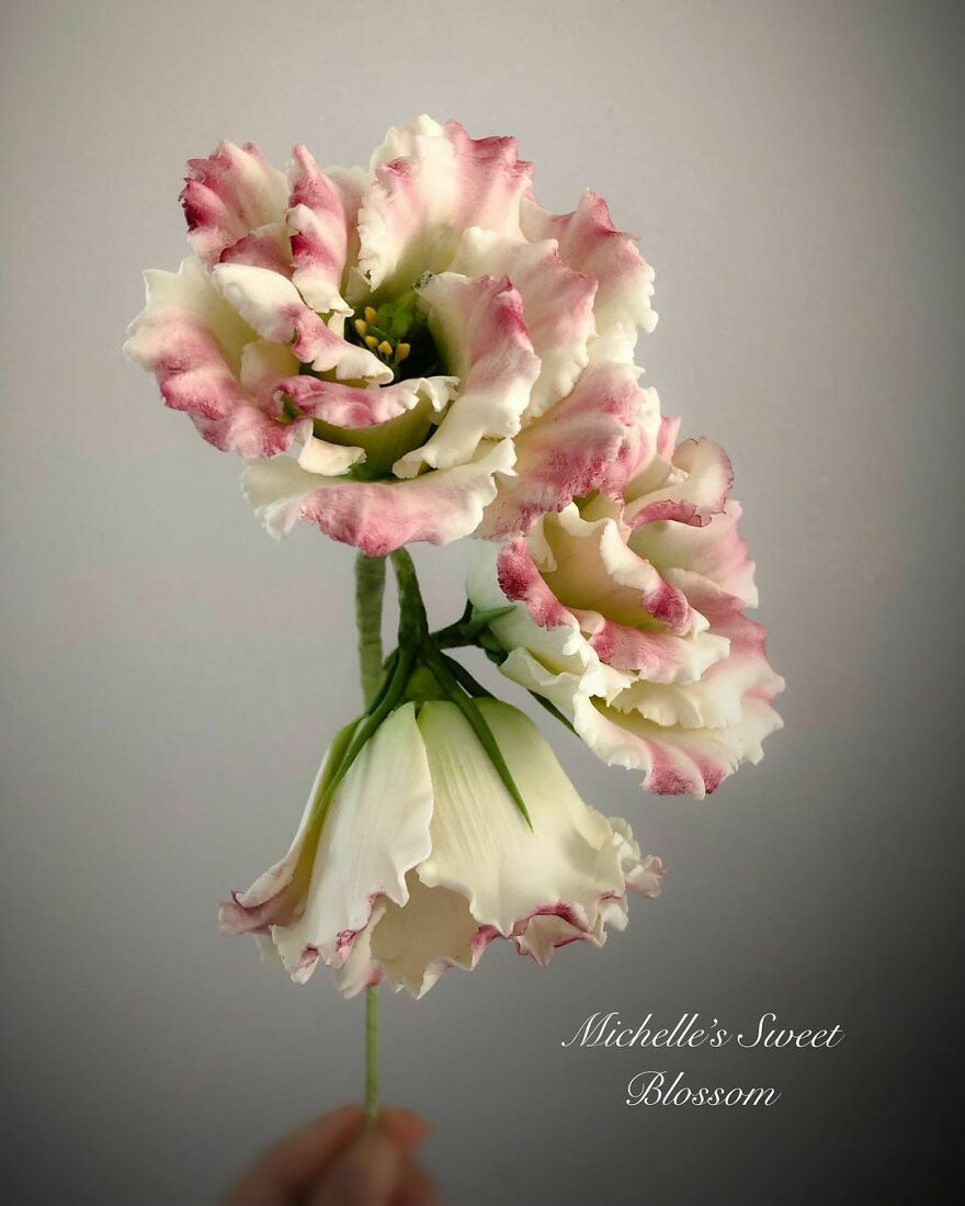 Award-Winning Australian Confectioner Creates Stunning Sugar Flowers (76 Pics) Award-Winning Australian Confectioner Creates Stunning Sugar Flowers (76 Pics)