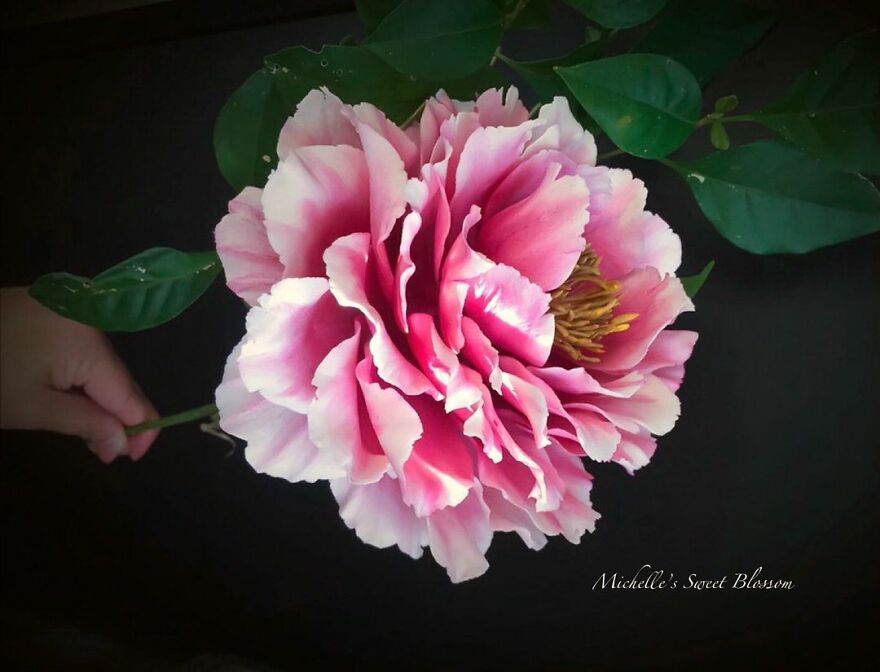 Award-Winning Australian Confectioner Creates Stunning Sugar Flowers (76 Pics)