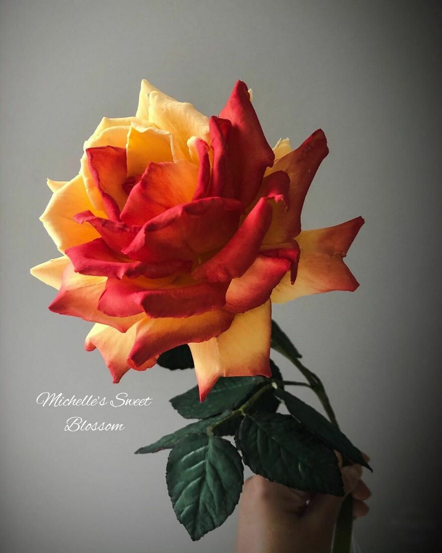 Award-Winning Australian Confectioner Creates Stunning Sugar Flowers (76 Pics)