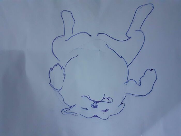 Hey Pandas, Draw My Dogs And Upload The Result (Closed)