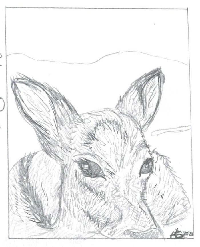 Hey Pandas, What’s Your Most Recent Artwork? (Closed) Hey Pandas, What’s Your Most Recent Artwork? (Closed)