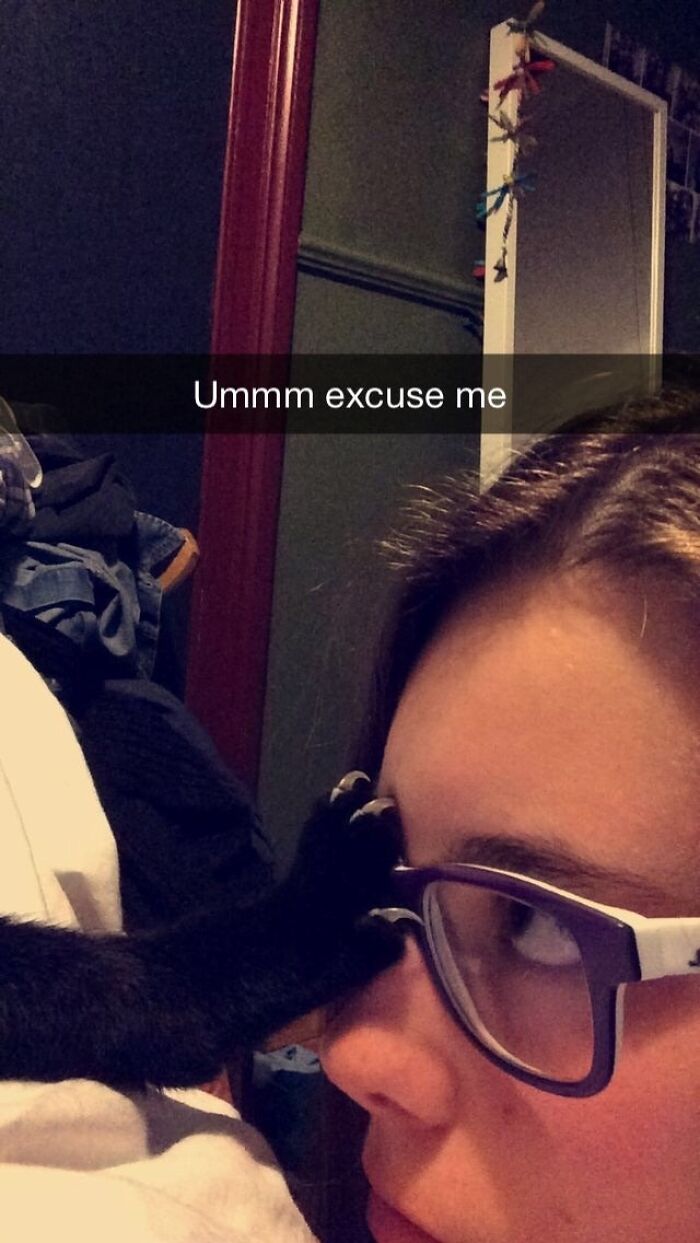 40 Hilarious Times Cats Said A Firm ‘NO’ To Cuddles 40 Hilarious Times Cats Said A Firm ‘NO’ To Cuddles