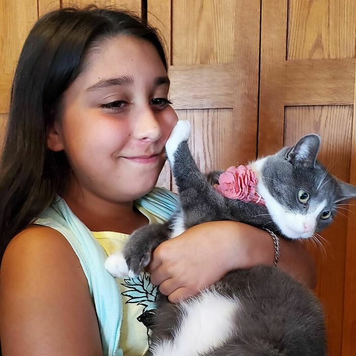 40 Hilarious Times Cats Said A Firm ‘NO’ To Cuddles 40 Hilarious Times Cats Said A Firm ‘NO’ To Cuddles