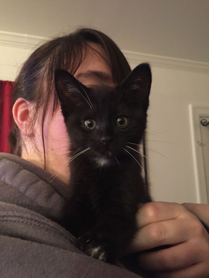 Hey Pandas, Post A Baby Picture Of Your Pet (Closed) Hey Pandas, Post A Baby Picture Of Your Pet (Closed)