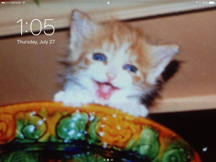 Hey Pandas, Post A Baby Picture Of Your Pet (Closed)