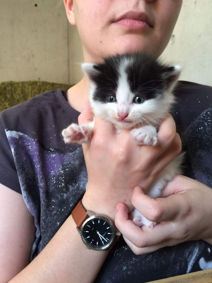 Hey Pandas, Post A Baby Picture Of Your Pet (Closed)