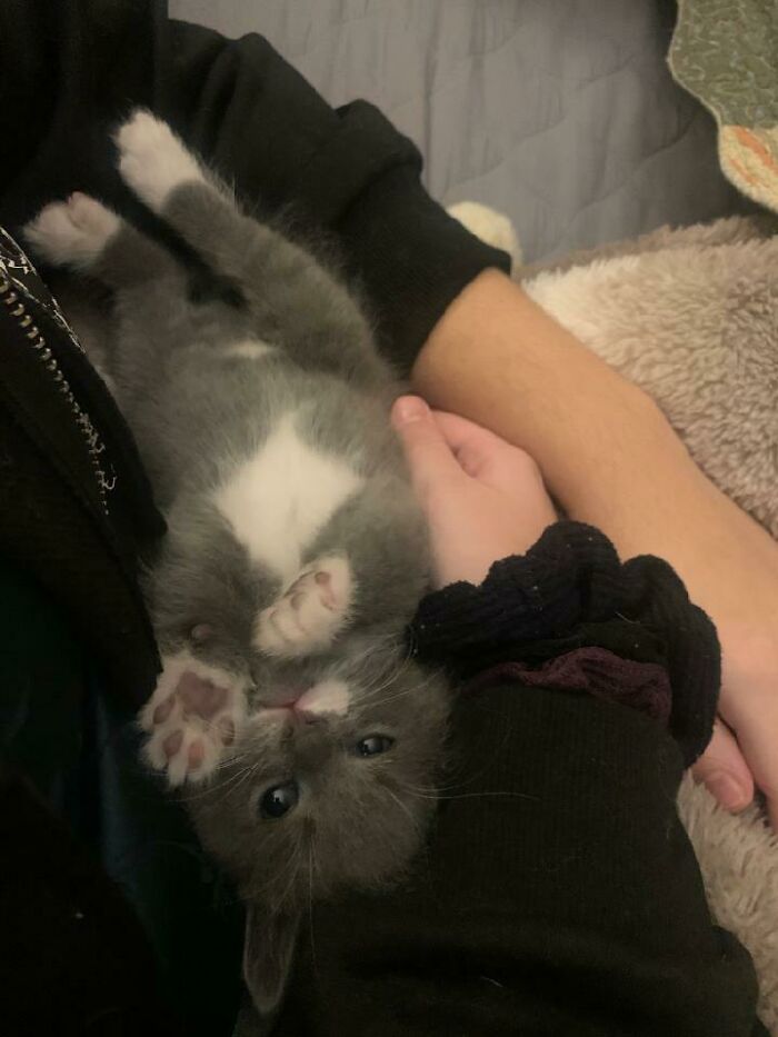 Hey Pandas, Post A Baby Picture Of Your Pet (Closed) Hey Pandas, Post A Baby Picture Of Your Pet (Closed)