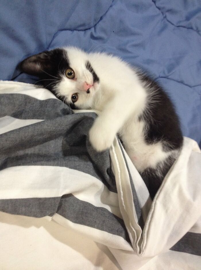 Hey Pandas, Post A Baby Picture Of Your Pet (Closed) Hey Pandas, Post A Baby Picture Of Your Pet (Closed)