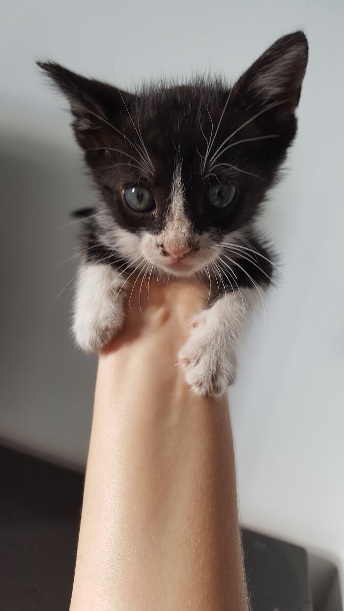 Hey Pandas, Post A Baby Picture Of Your Pet (Closed) Hey Pandas, Post A Baby Picture Of Your Pet (Closed)