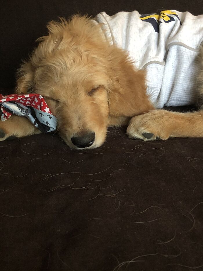 Hey Pandas, Post A Baby Picture Of Your Pet (Closed)