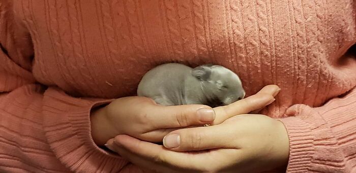 Hey Pandas, Post A Baby Picture Of Your Pet (Closed) Hey Pandas, Post A Baby Picture Of Your Pet (Closed)