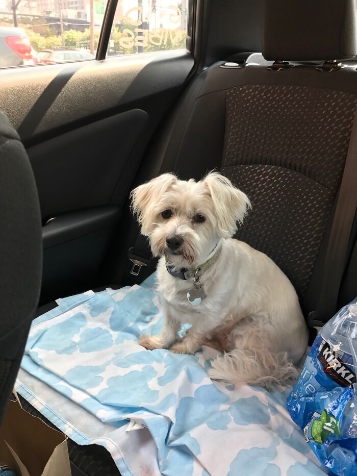 Hey Pandas, Post A Baby Picture Of Your Pet (Closed) Hey Pandas, Post A Baby Picture Of Your Pet (Closed)