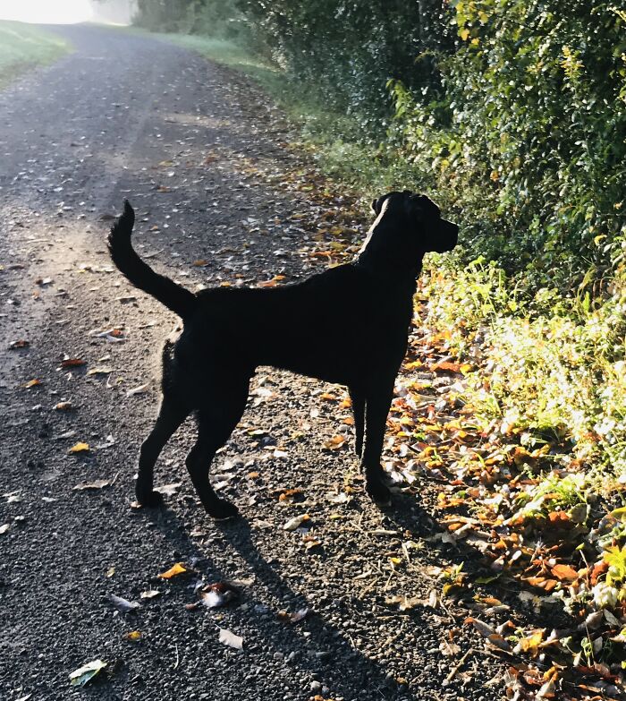 Hey Pandas, Post A Baby Picture Of Your Pet (Closed)