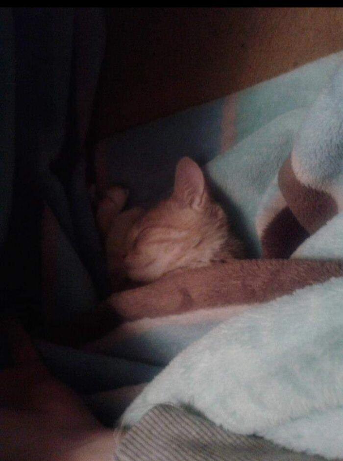 Hey Pandas, Post A Baby Picture Of Your Pet (Closed)