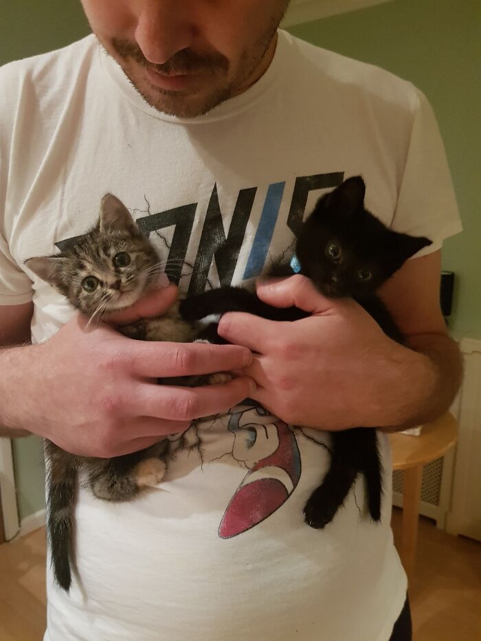 Hey Pandas, Post A Baby Picture Of Your Pet (Closed)