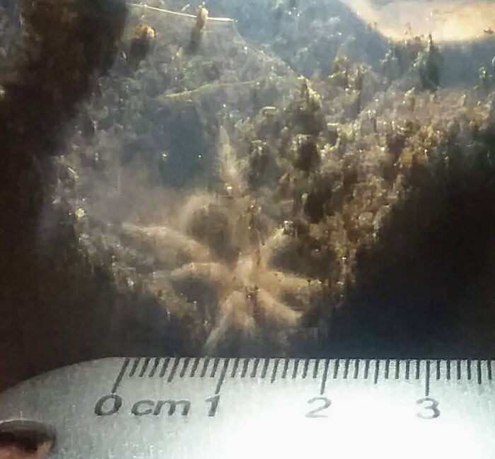 Hey Pandas, Post A Baby Picture Of Your Pet (Closed) Hey Pandas, Post A Baby Picture Of Your Pet (Closed)