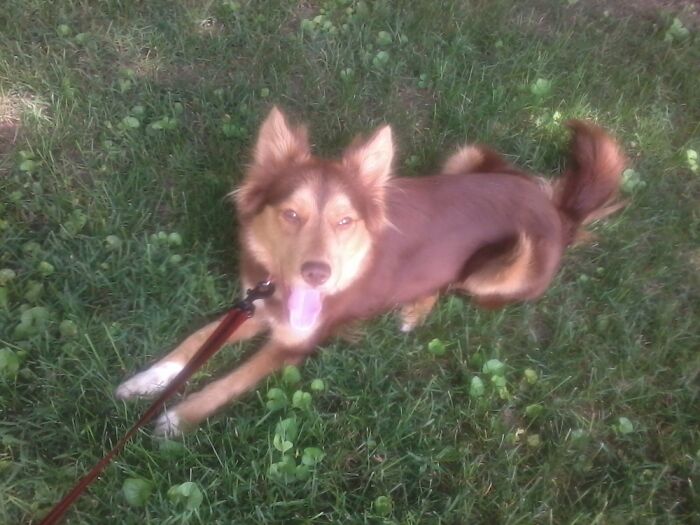 Hey Pandas, Post A Baby Picture Of Your Pet (Closed)