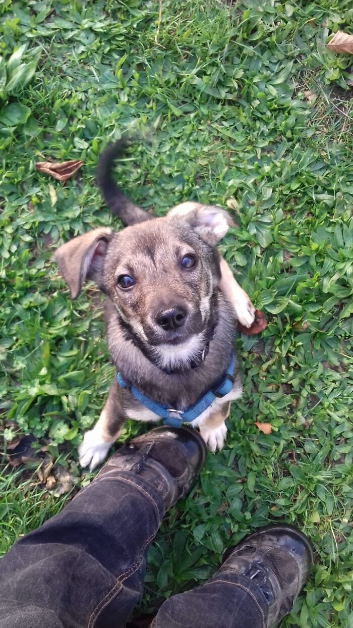 Hey Pandas, Post A Baby Picture Of Your Pet (Closed)