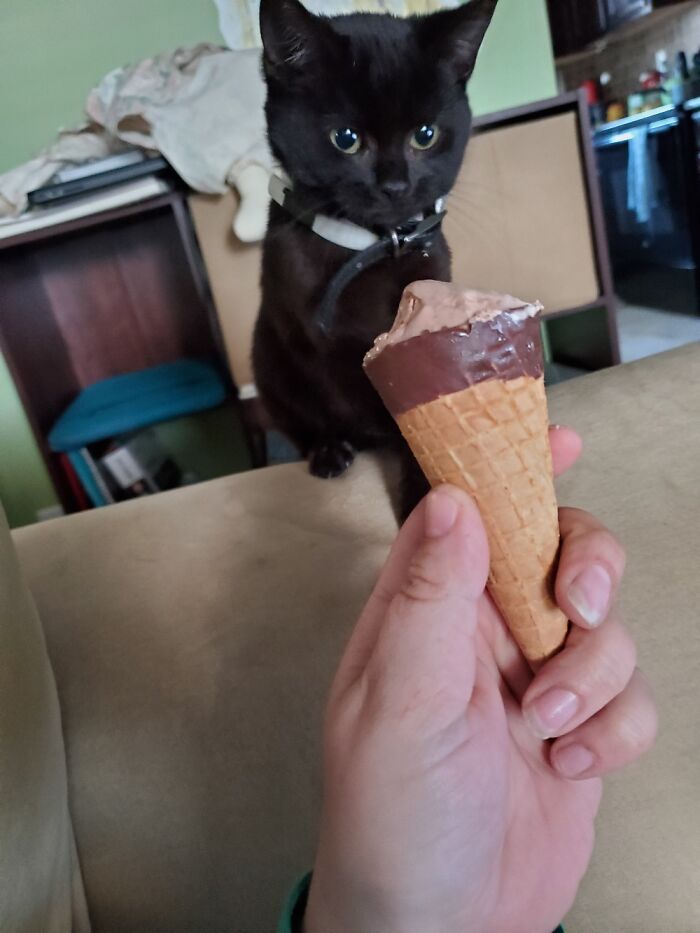 Hey Pandas, Post A Baby Picture Of Your Pet (Closed) Hey Pandas, Post A Baby Picture Of Your Pet (Closed)