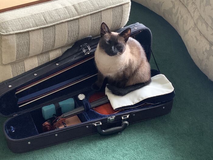 Hey Pandas, Post A Baby Picture Of Your Pet (Closed) Hey Pandas, Post A Baby Picture Of Your Pet (Closed)