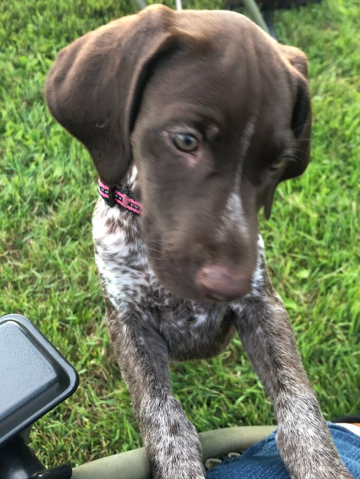 Hey Pandas, Post A Baby Picture Of Your Pet (Closed) Hey Pandas, Post A Baby Picture Of Your Pet (Closed)