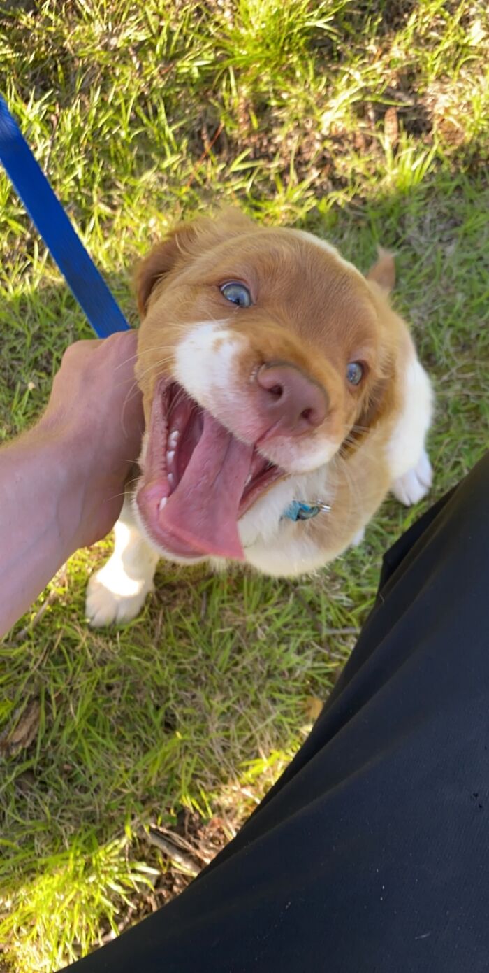 Hey Pandas, Post A Baby Picture Of Your Pet (Closed)