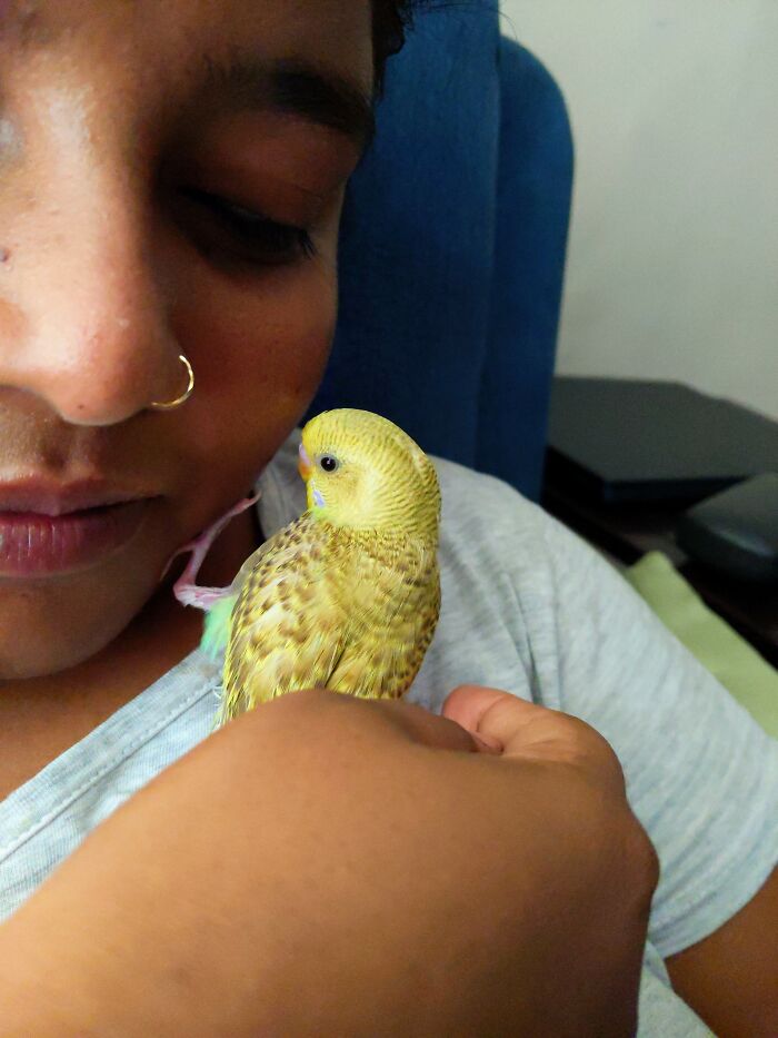 Hey Pandas, Post A Baby Picture Of Your Pet (Closed)