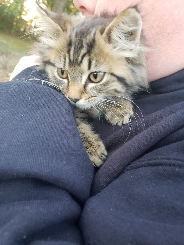 Hey Pandas, Post A Baby Picture Of Your Pet (Closed) Hey Pandas, Post A Baby Picture Of Your Pet (Closed)