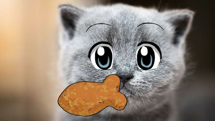 Hey Pandas, Photoshop This Sad Cat And Make It Happy! (Closed) Hey Pandas, Photoshop This Sad Cat And Make It Happy! (Closed)