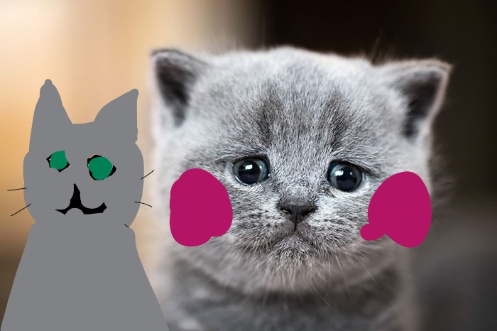 Hey Pandas, Photoshop This Sad Cat And Make It Happy! (Closed) Hey Pandas, Photoshop This Sad Cat And Make It Happy! (Closed)