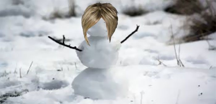 Hey Pandas, Add Subtitles To This Image Of Snow Karen (Closed)