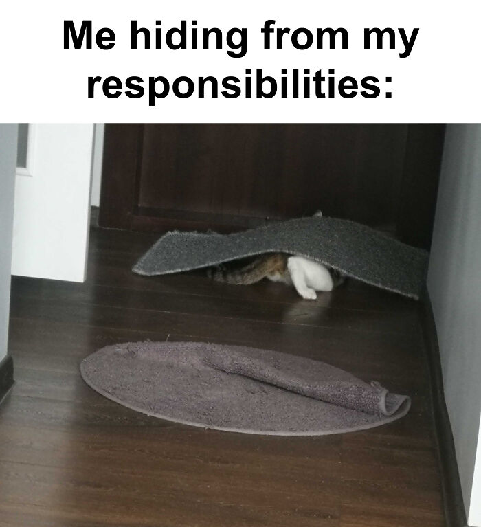 Hey Pandas, Make Your Own Meme (Closed) Hey Pandas, Make Your Own Meme (Closed)