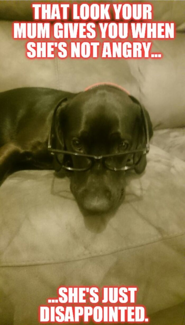 Hey Pandas, Make Your Own Meme (Closed) Hey Pandas, Make Your Own Meme (Closed)